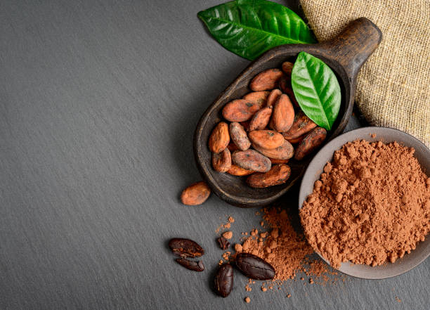 Non-Alkalized Cocoa Powder: The Secret Ingredient You Need | West Natural Goods